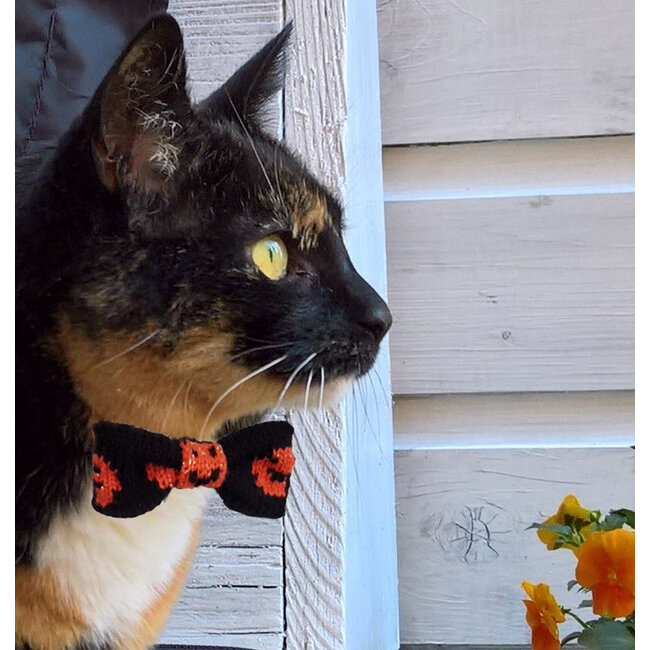 Wool & Whiskers - Cat Bowtie, Halloween