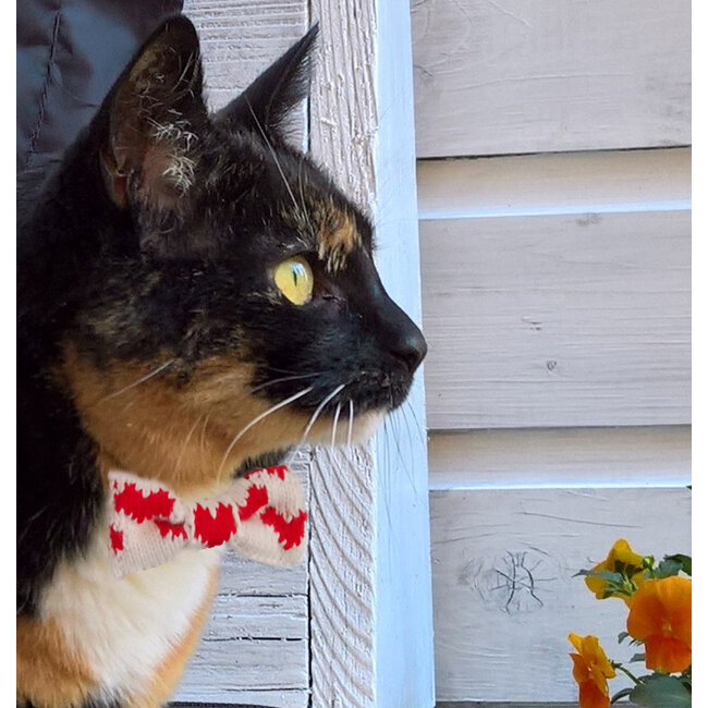 Wool & Whiskers - Cat Bowtie, Love