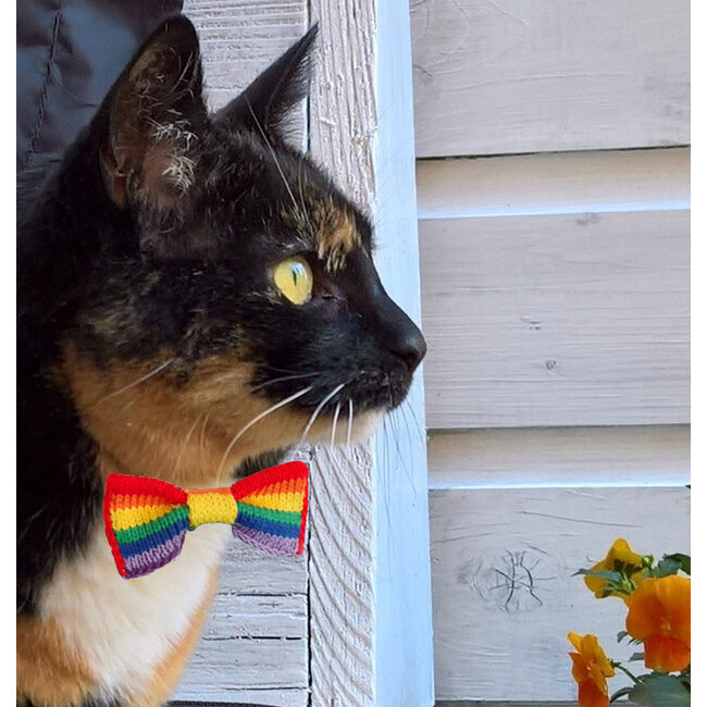 Wool & Whiskers - Katten Vlinderdasje, Regenboog