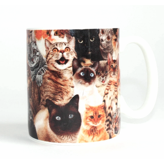 Gift Republic Crazy Cat Lady Mug