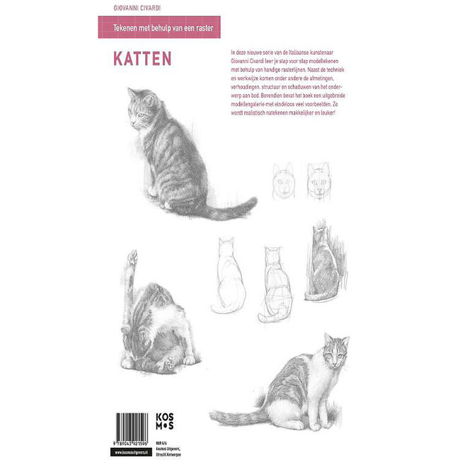 Tekenen met Raster - Katten