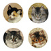 Parastone Ronner Knip - Glass Cat Coasters