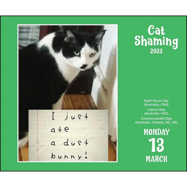 Cat Shaming Calendar 2023