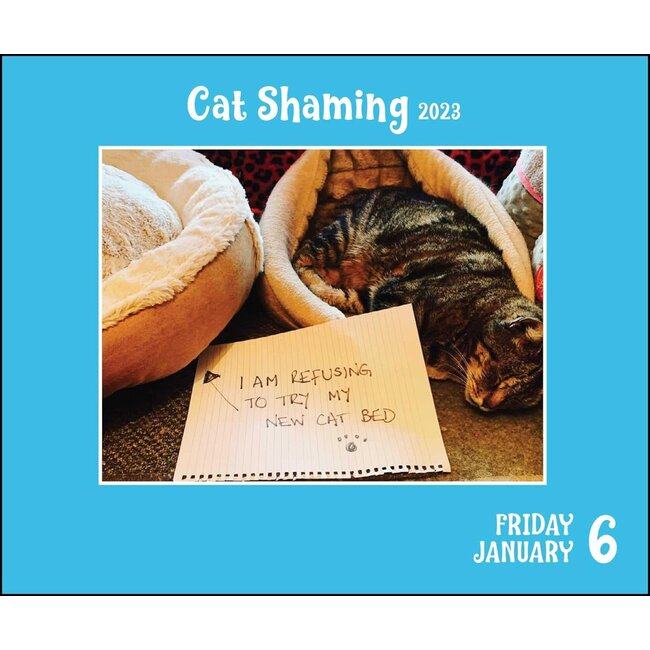 Cat Shaming Calendar 2023