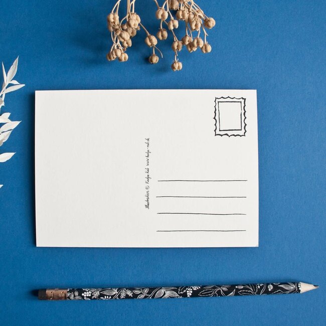 Katja Rub - Cat by the Window, Postcard 14.8 x 10.5 cm