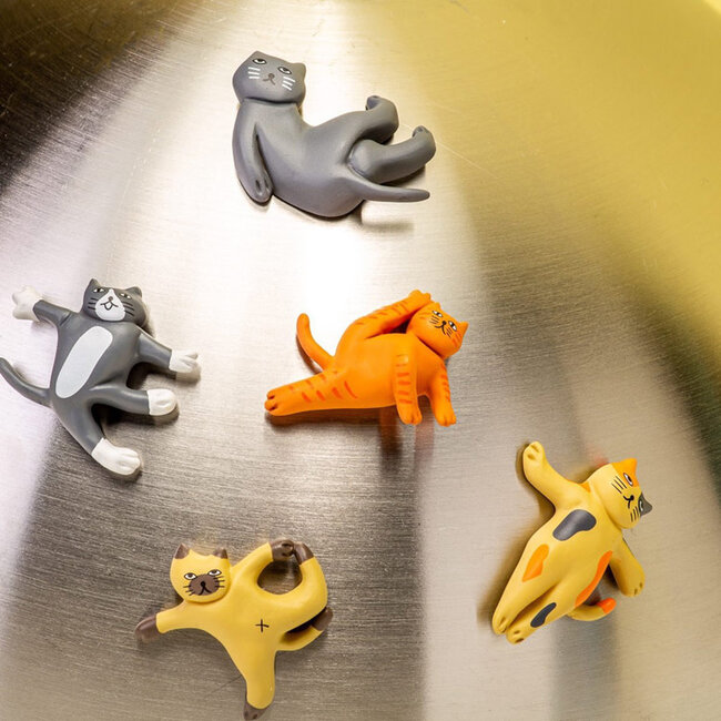 Cat Yoga Magnets, 5 pcs