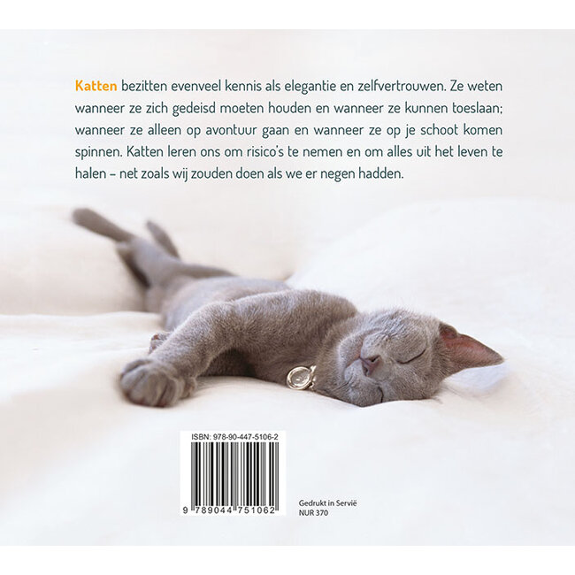 Wat We Van Katten Kunnen Leren