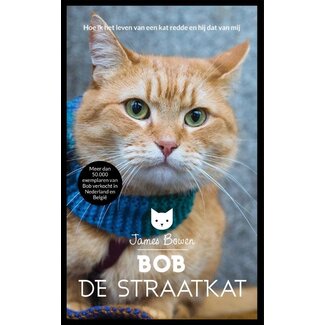 Bob de Straatkat