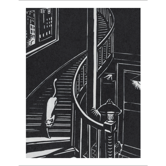 Poes - The Cat in Art and Photography