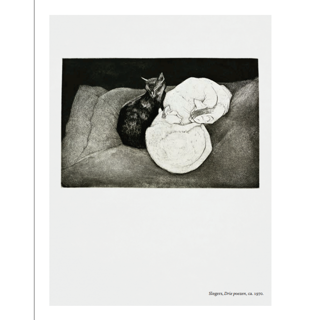 Poes - The Cat in Art and Photography