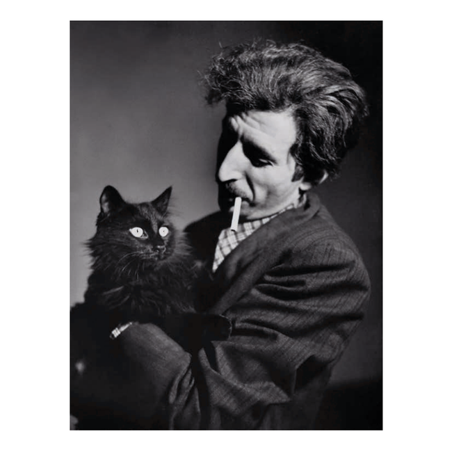 Poes - De Kat in Kunst en Fotografie