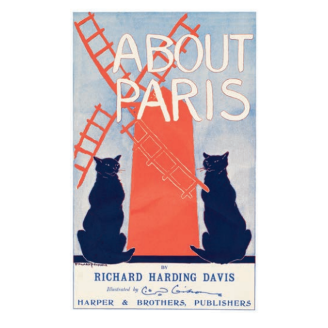 Poes - De Kat in Kunst en Fotografie