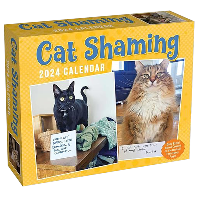 Cat Shaming Calendar 2024 - Day-to-Day Calendar