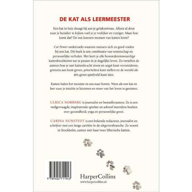 Cat Power - De Kat als Leermeester
