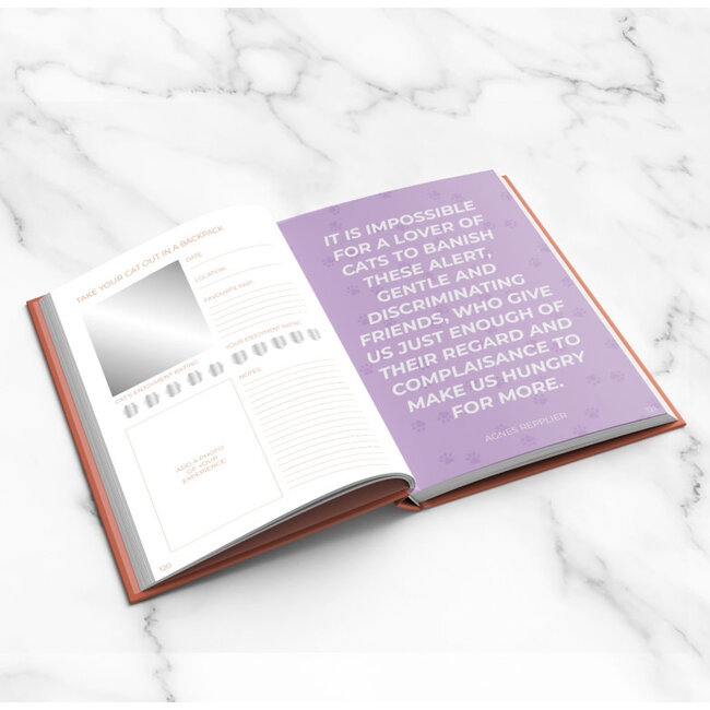 My Cat Journal, Scratch Book