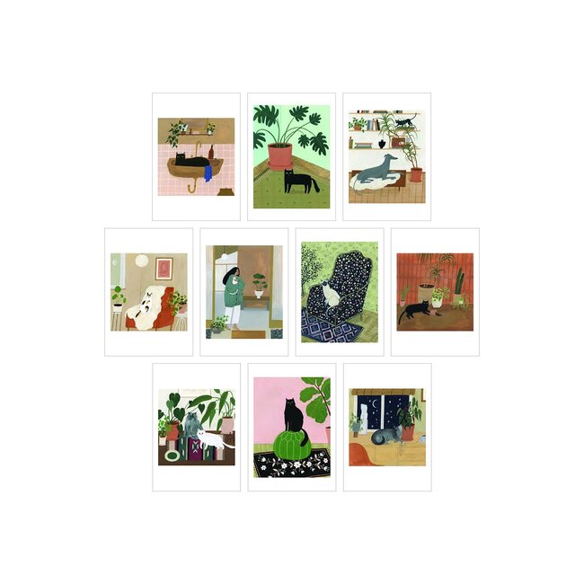 Cat Box - 100 Ansichtkaarten van 10 Artiesten