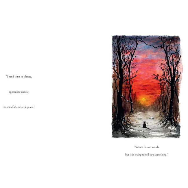 The Cat Who Taught Zen - Hardcover