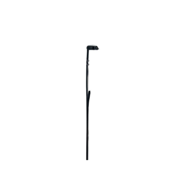 Curious Cat - Bookmark