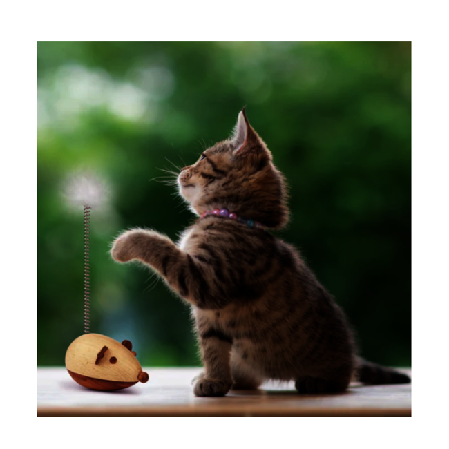Wooden Cat Toy - Mouse