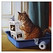 Lucia Heffernan - Kitty Throne, Double Card with Envelope