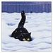 Vicky Mount - Big Foot, Double Card with Envelope