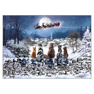 Richard Macneil - Christmas Cats, Dubbele Kaart met Enveloppe