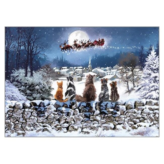 Richard Macneil - Christmas Cats, Double Card with Envelope