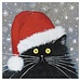 Kim Haskins - Santa Cat, Double Card with Envelope