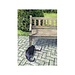 Katsuhisa Toda - Reading Cat, Postcard 14.8 x 10.5 cm