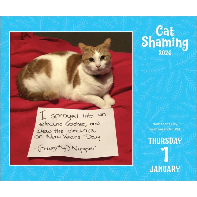 Cat Shaming Calendar  2026 - Day-to-Day Calendar