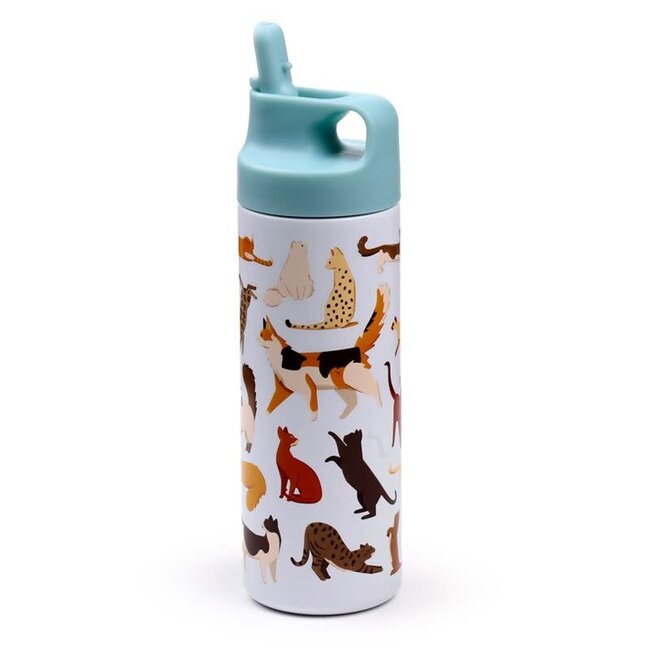 Feline Fine - Thermos All Cats met Flip Straw, 500 ml