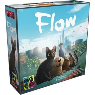 Brain Games Flow - Het Bordspel