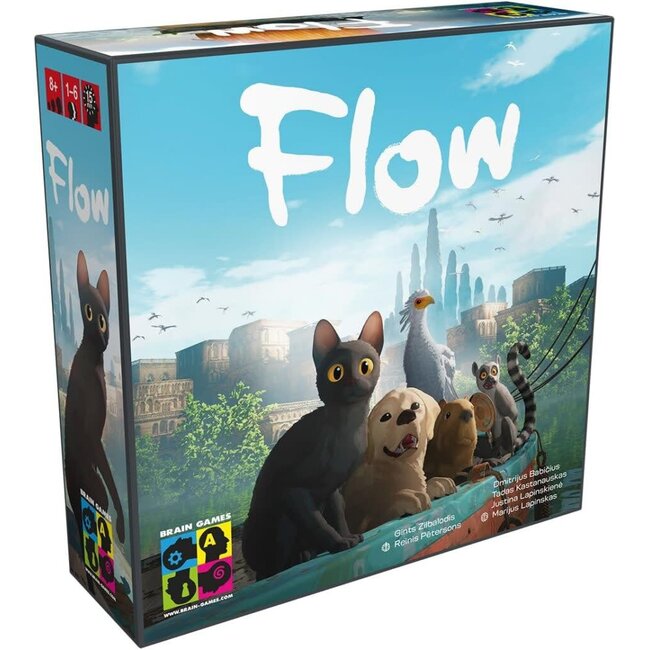 Brain Games Flow - Het Bordspel