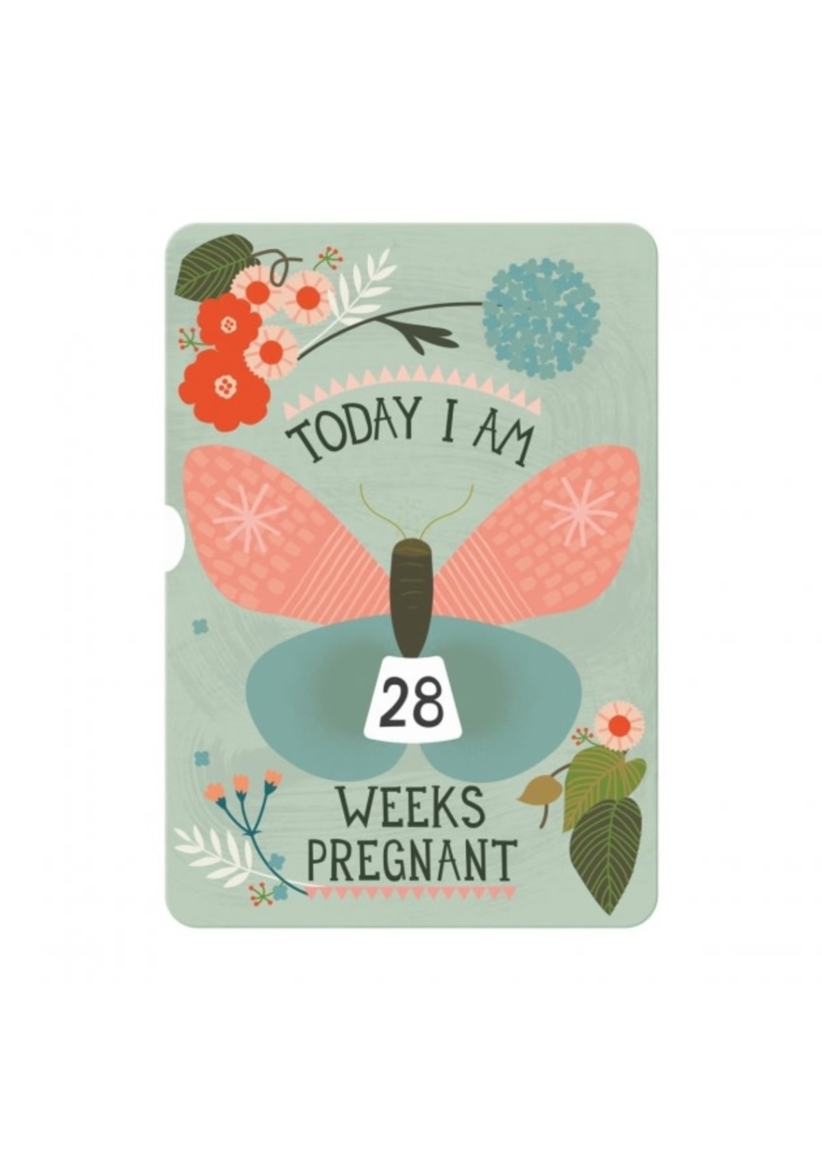 Milestone Milestone Turn wheel cards / zwangerschap