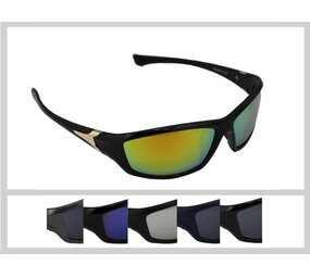 Visionmania 1680 Box 12 st.