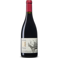 Recanati - Wild Carignan Reserve