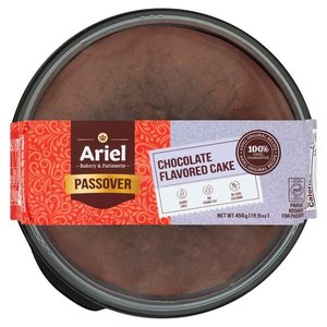 Ariel Ariel Chocolate Cake