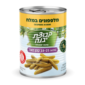 Bnei Darom Salted Pickled Pickles