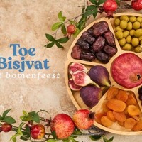 Toe Bisjvat – Wat is het Joodse Nieuwjaar van de bomen? | Experience Israel