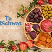 Tu BiSchwat – Was ist das jüdische Neujahr der Bäume? | Experience Israel