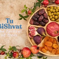 Tu BiShvat – What Is the Jewish New Year of the Trees? | Experience Israel