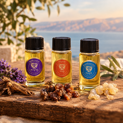 Ein Gedi Salböl-Set Narde, Myrrhe und Weihrauch – 3 x 10 ml Ein Gedi Salböl-Set Narde, Myrrhe und Weihrauch – 3 x 10 ml
