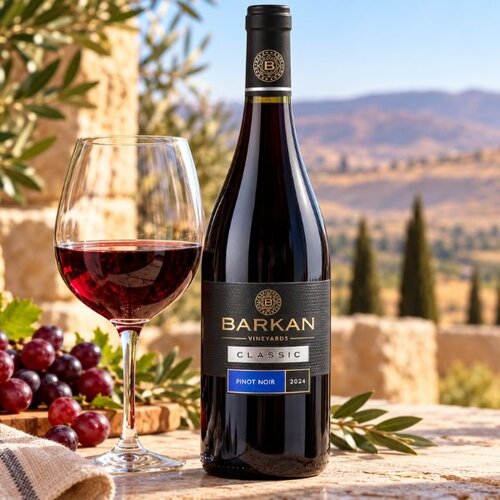 Barkan Winery Barkan Classic Pinot Noir – droge rode wijn uit Israël 75 cl Barkan Winery Barkan Classic Pinot Noir – droge rode wijn uit Israël 75 cl