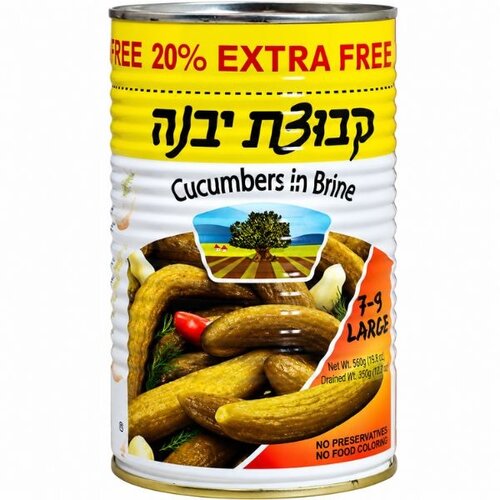 Bnei Darom Salzgurken Groß