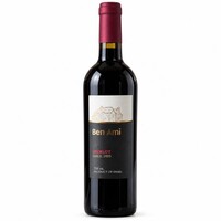 Ben Ami - Merlot