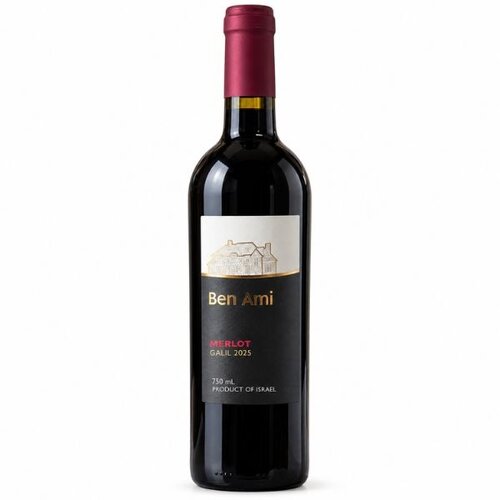 Segal Winery Ben Ami - Merlot