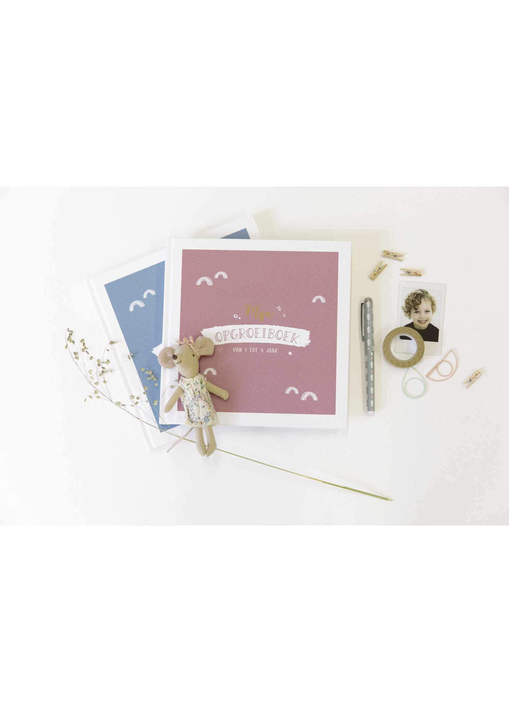 Maan Amsterdam Mijn opgroeiboek (1 tot 4 jaar) - roze - Universe collectie
