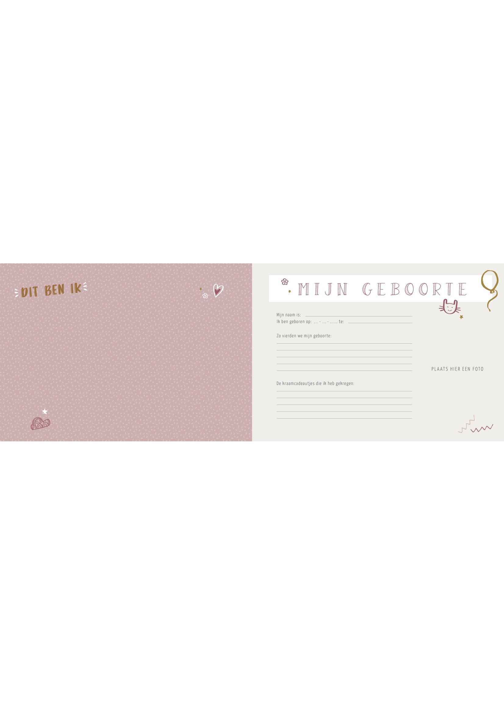 Maan Amsterdam Mijn verjaardagenboek - roze - Universe collectie