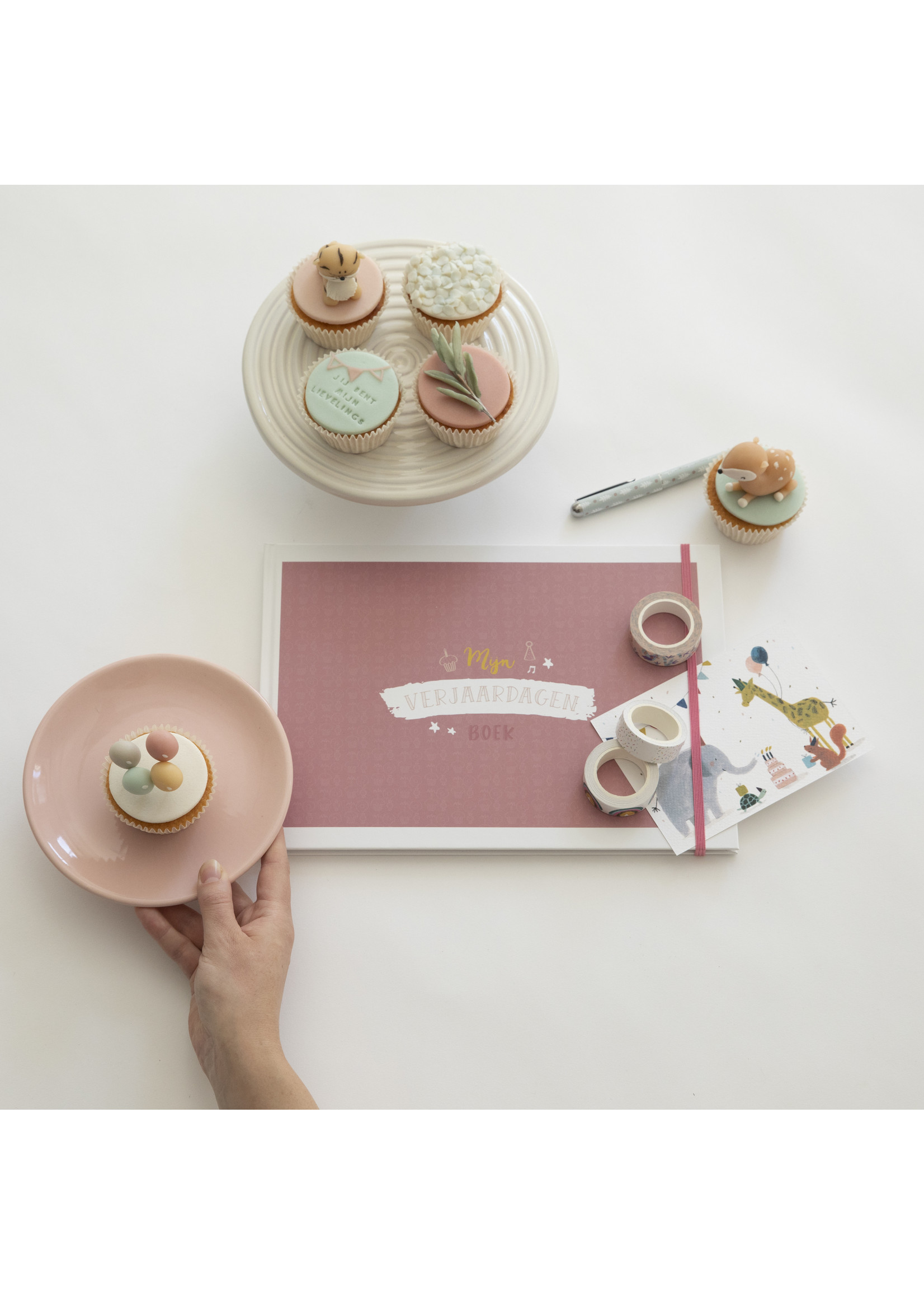Maan Amsterdam Mijn verjaardagenboek - roze - Universe collectie