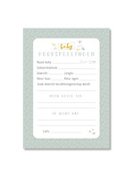 Maan Amsterdam Mijn babyshower invulkaarten (30 stuks) - mint